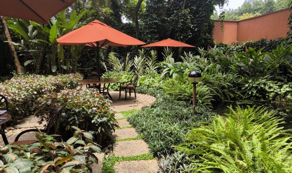 WhatsApp Image 2024-02-29 at 13.38.26_eeddc4a3